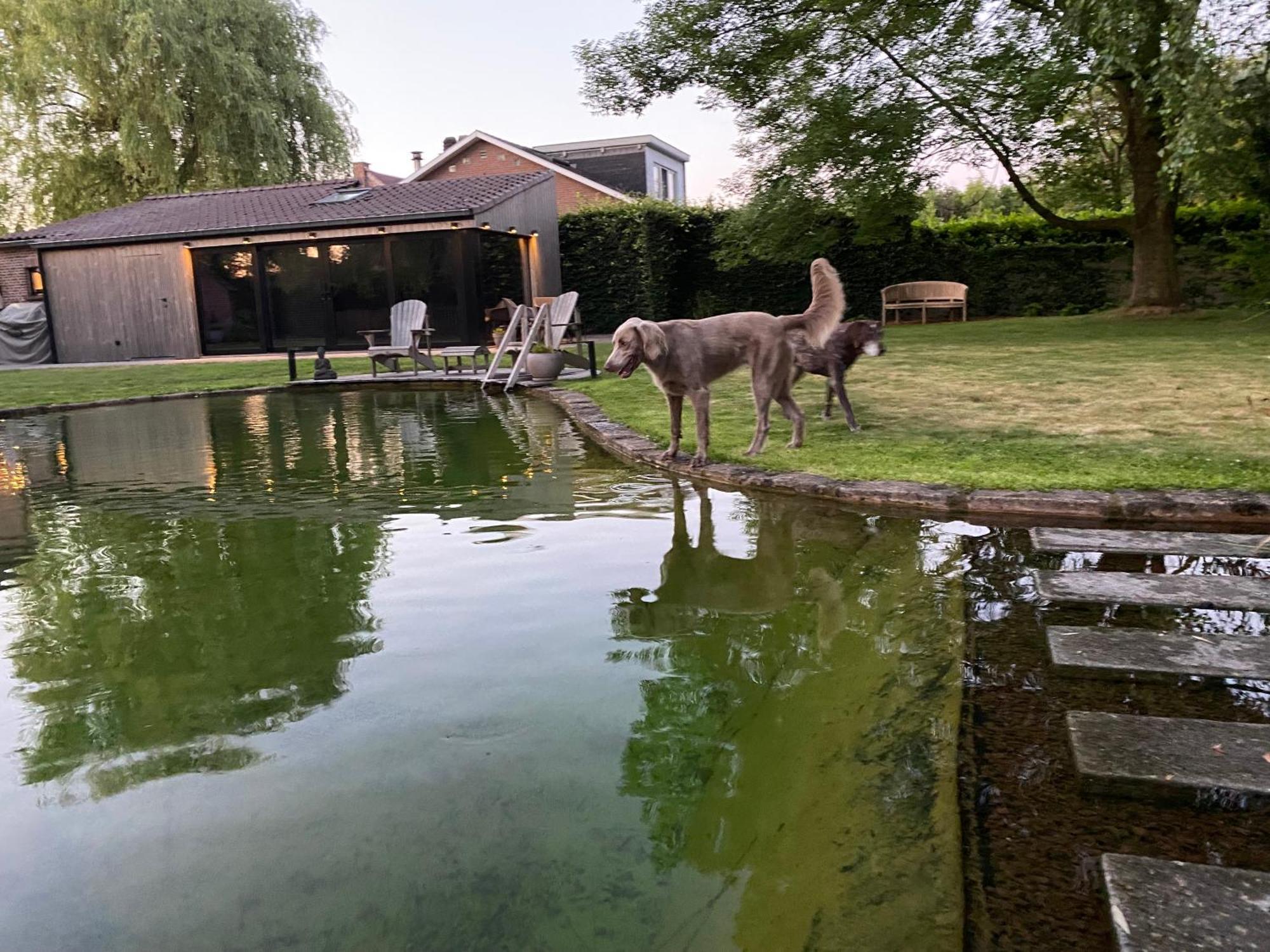 Bulsomhuys Guesthouse Kampenhout エクステリア 写真