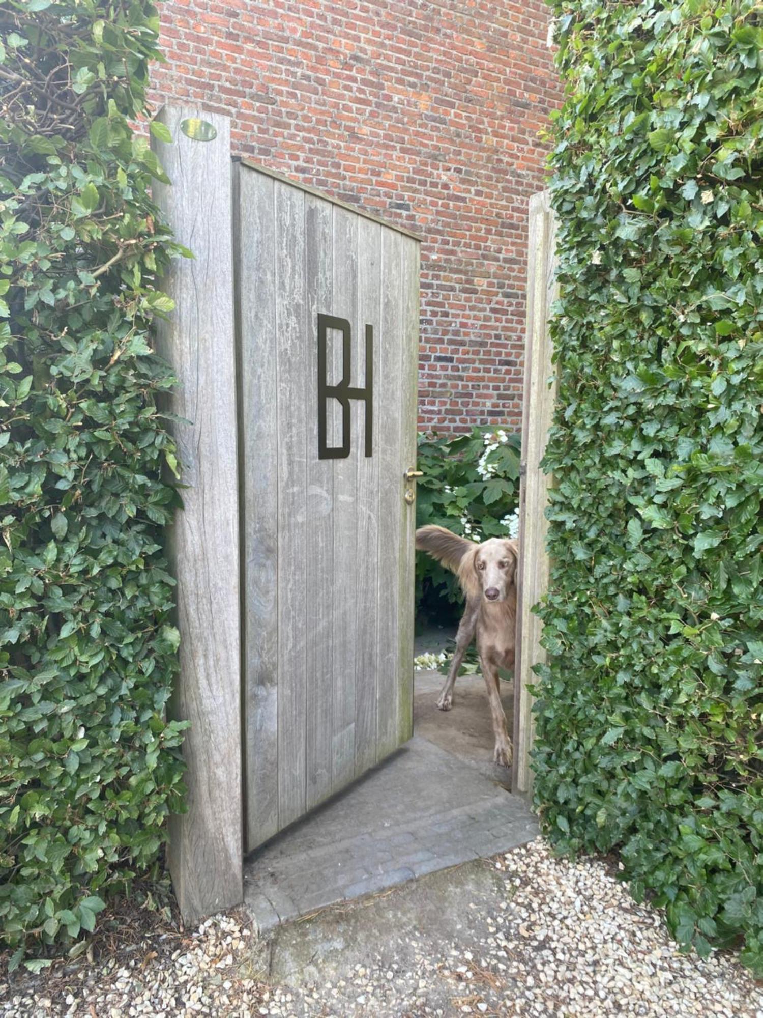 Bulsomhuys Guesthouse Kampenhout エクステリア 写真